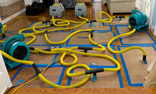 Professional Structural Drying And Dehumidification technician working in Effingham, IL